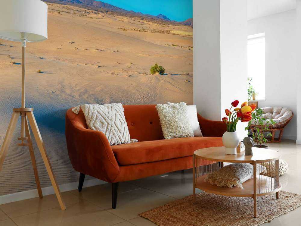 Sunrise over sand dunes