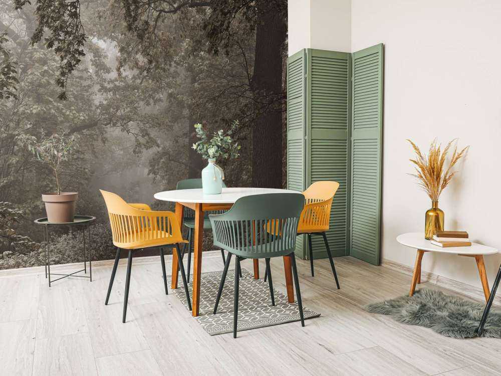 Path through misty forest