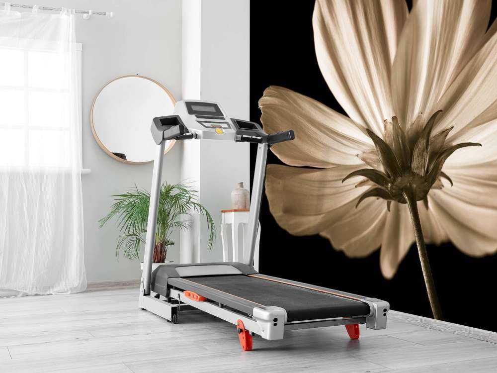 Cosmos flower from below