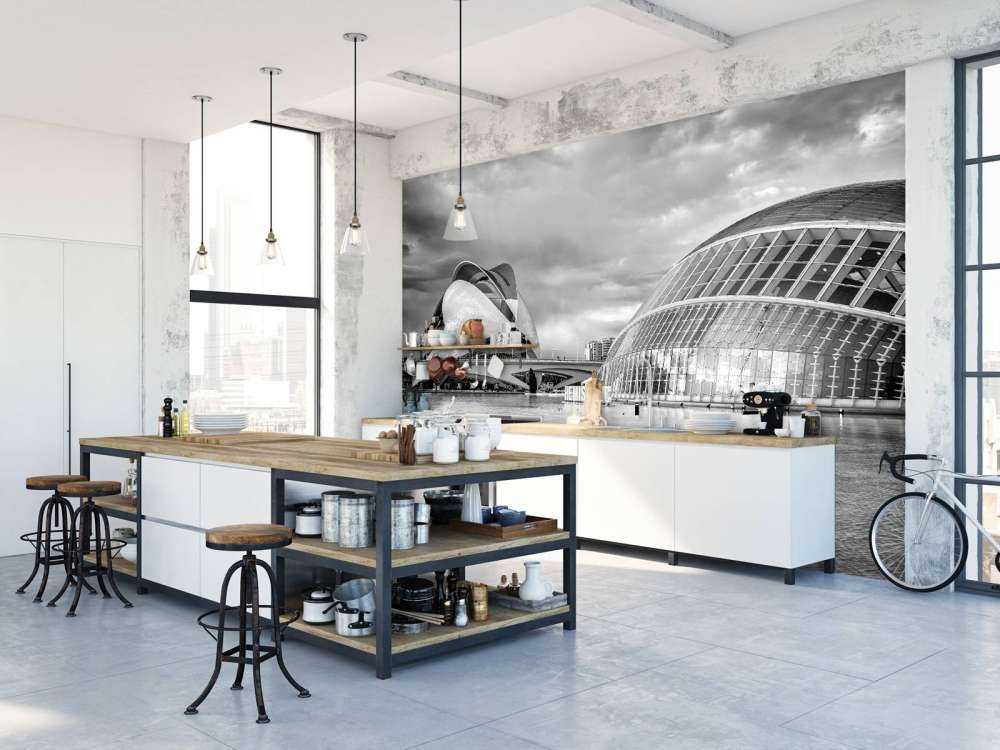 Opera House - Palau de les arts Reina Sofia & Hemisfèric - Valencia