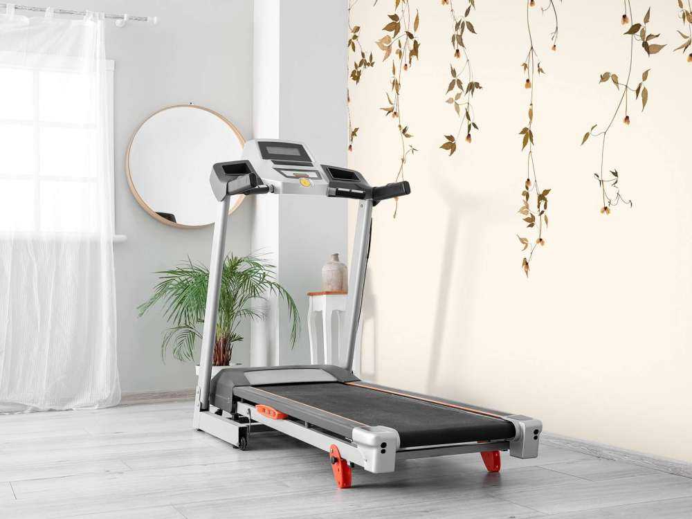 Clematis vine with flowers