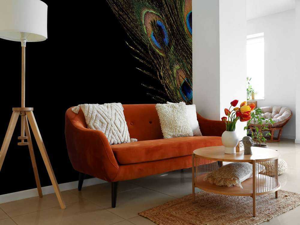 Colourful peacock feather