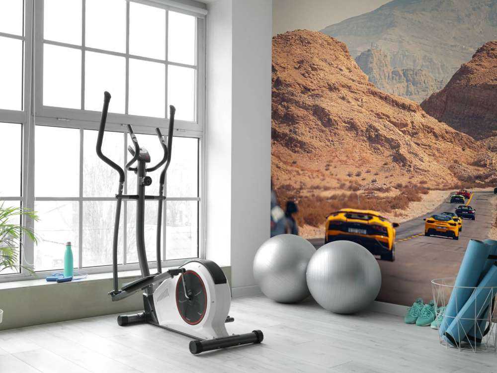 Supercars through the desert