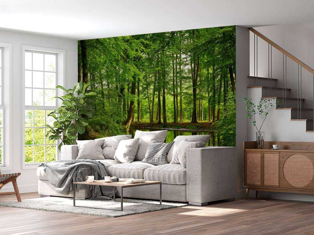 Reflection of trees in water