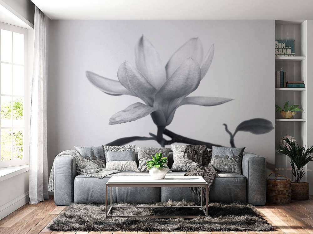 Beautiful magnolia