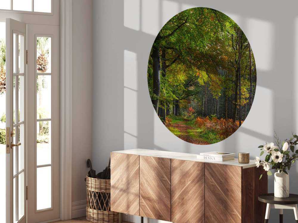 Path with leaves through the forest