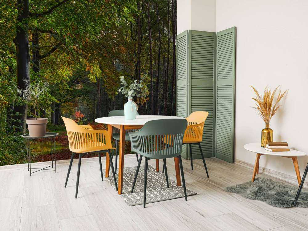 Path with leaves through the forest