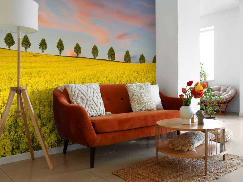 Field full of yellow flowers