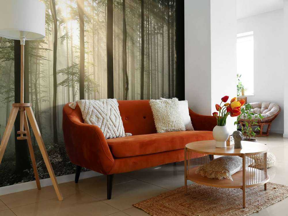 Autumn deciduous forest