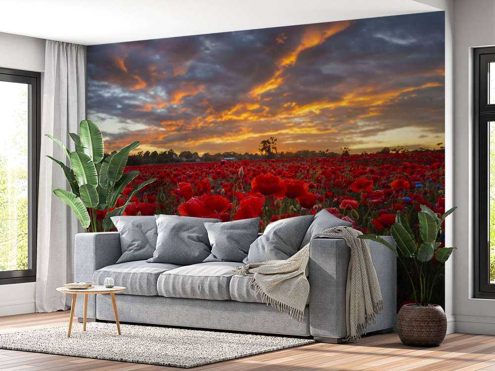 Poppies field with beautiful sky