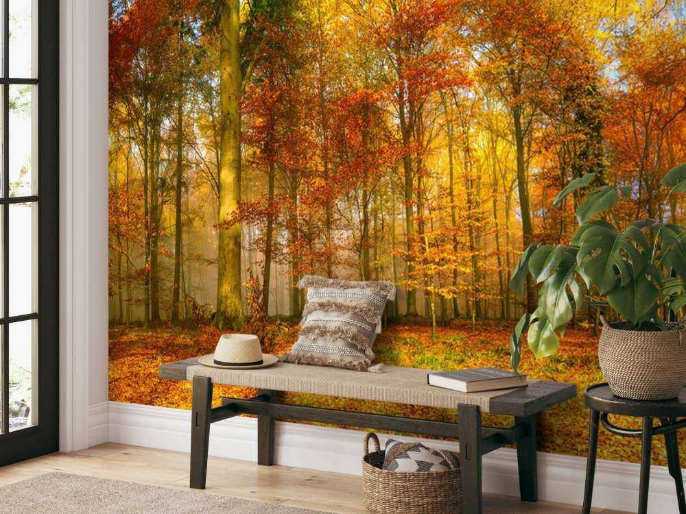 Colorful forest panorama