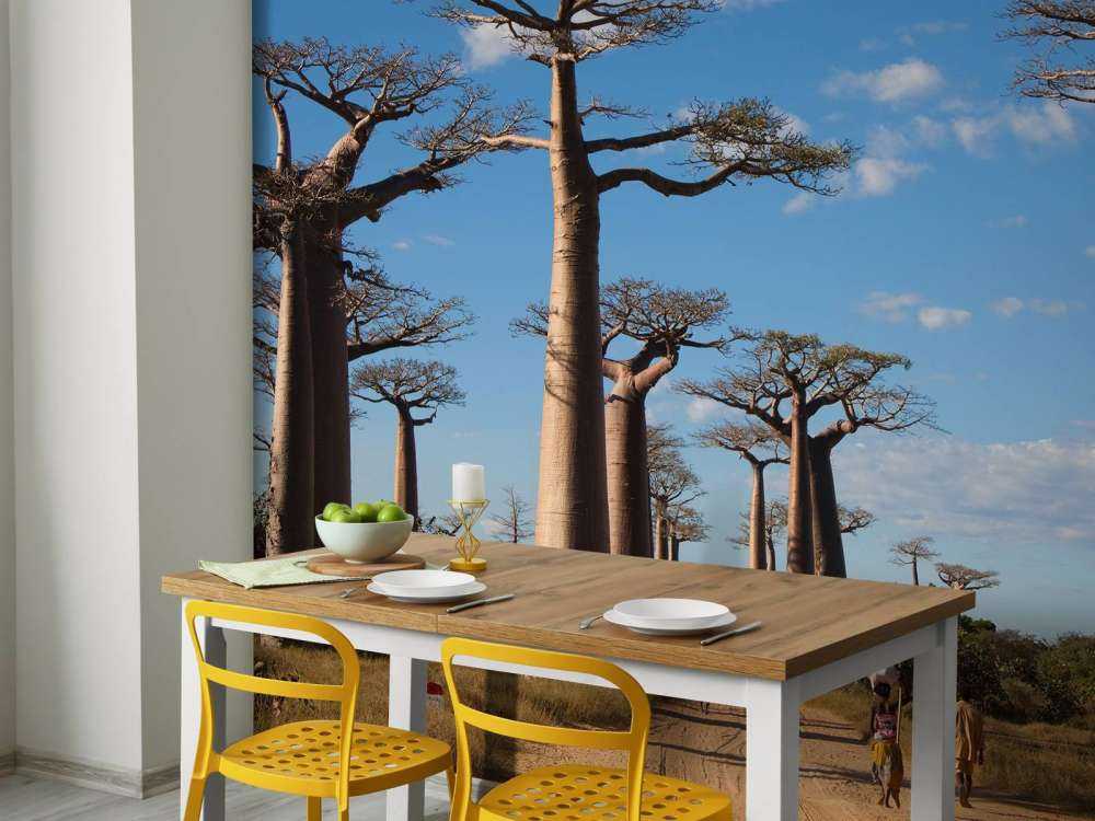 Baobab trees