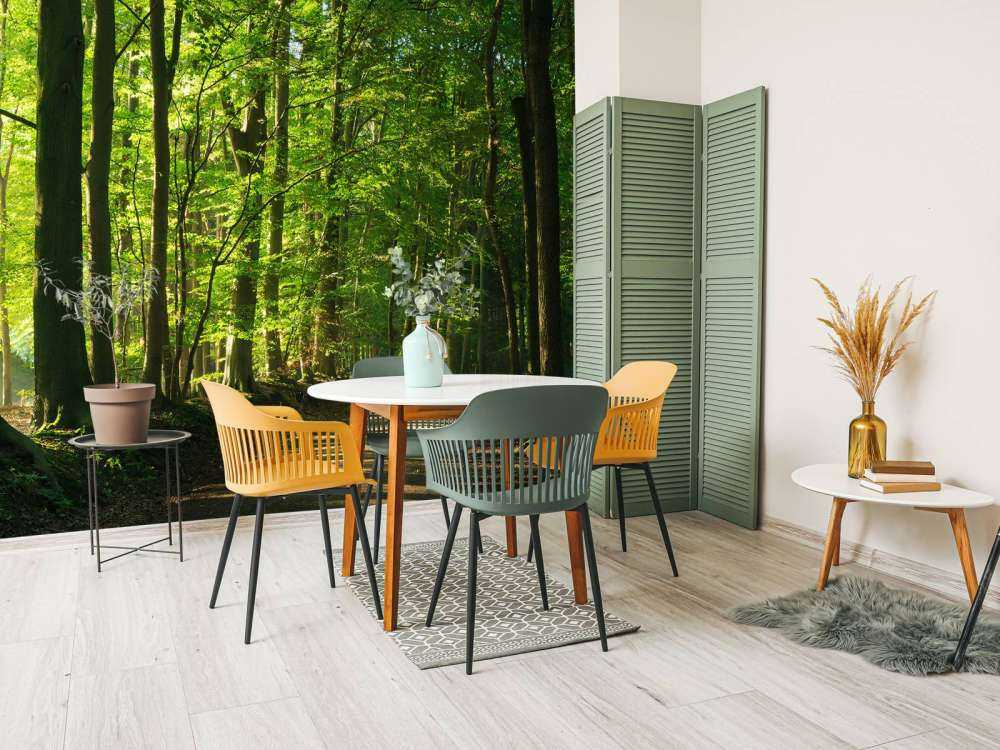 Sunny road through a forest