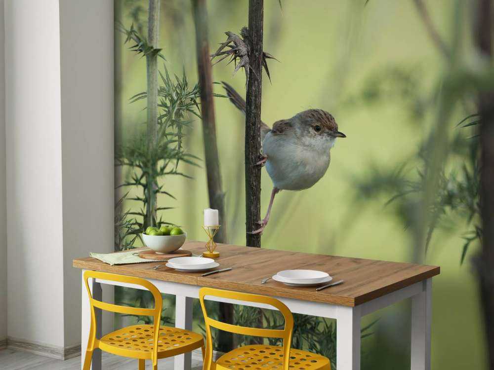 Bird on a branch