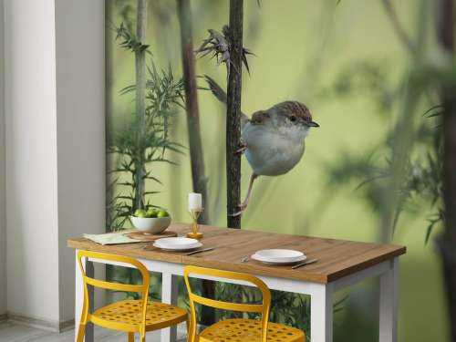 Bird on a branch