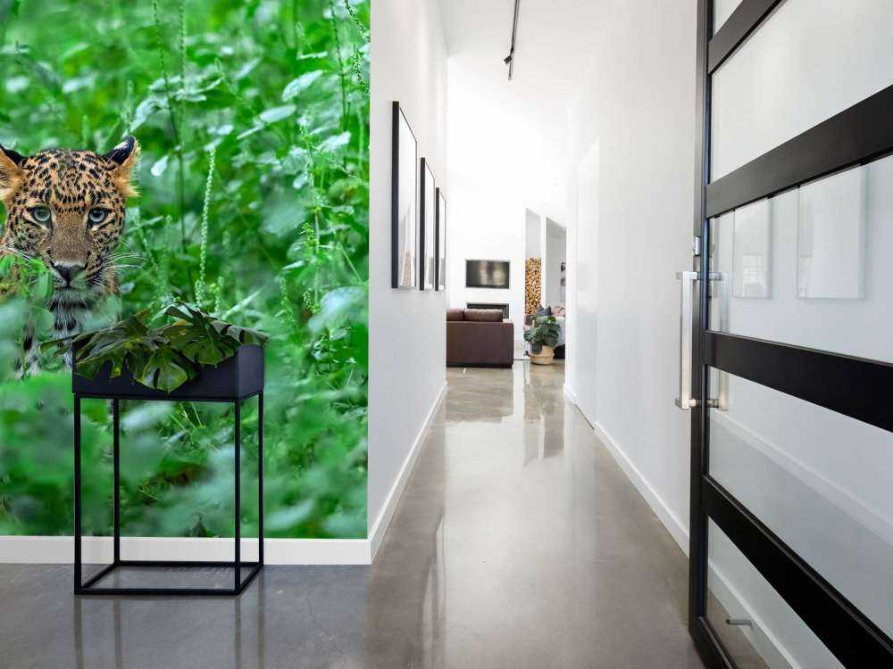 Leopard in the forest