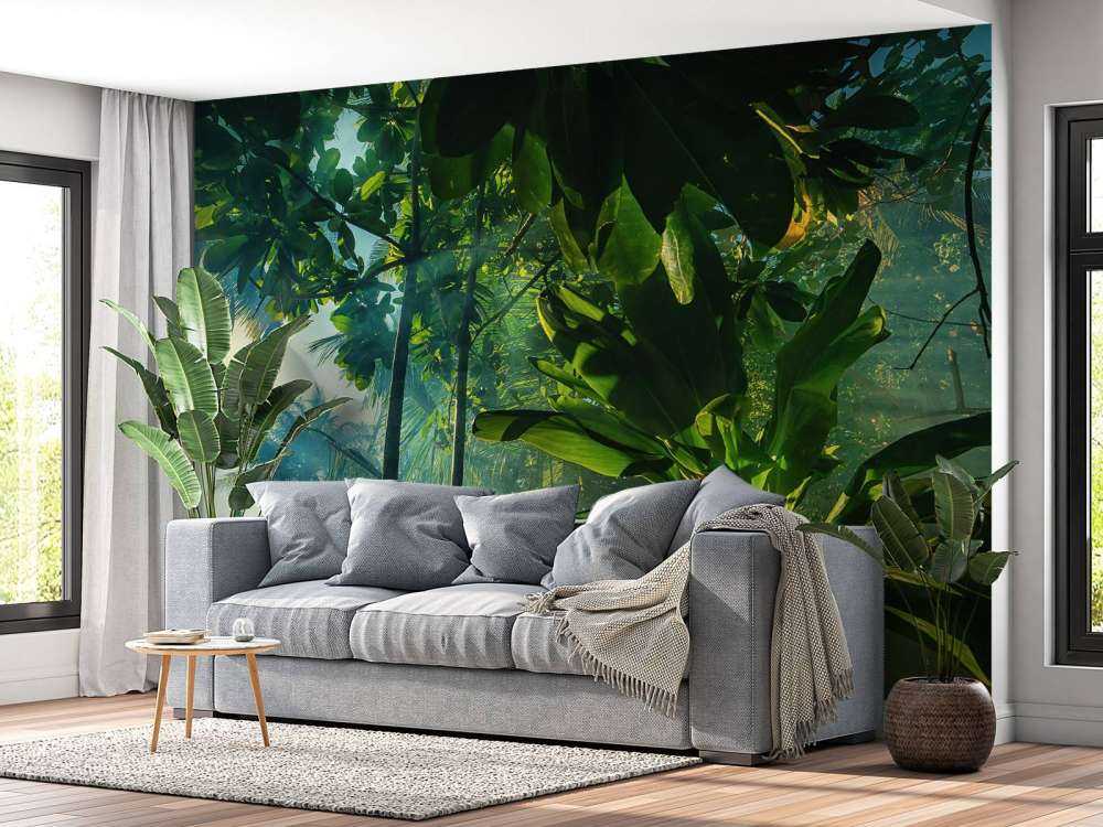 Mysterious jungle
