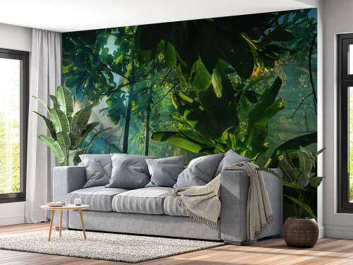 Mysterious jungle