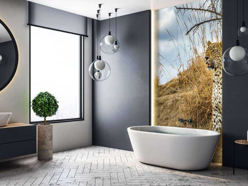 Leopard on the lookout