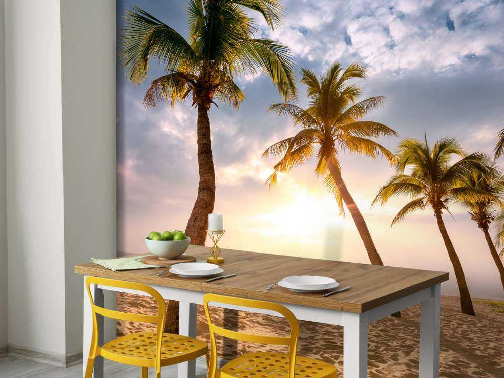 Coconut palms against the sunset