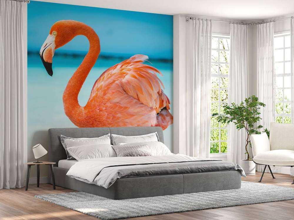 Tropical flamingo