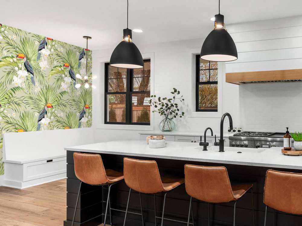 Toucan in the jungle