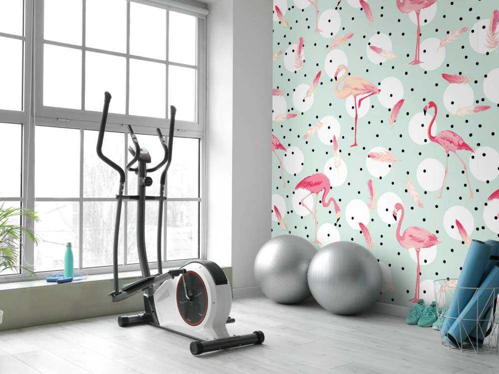 Flamingos and feathers