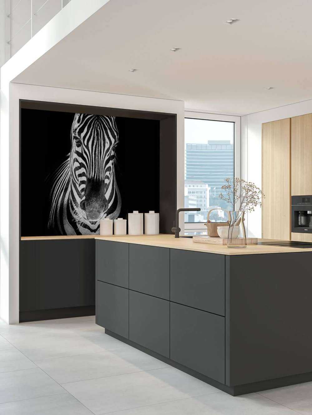 Close-up zebra black and white