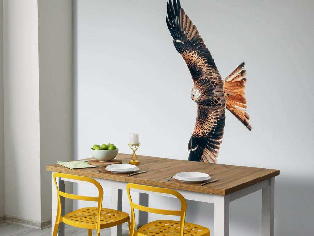 Red kite with wings spread