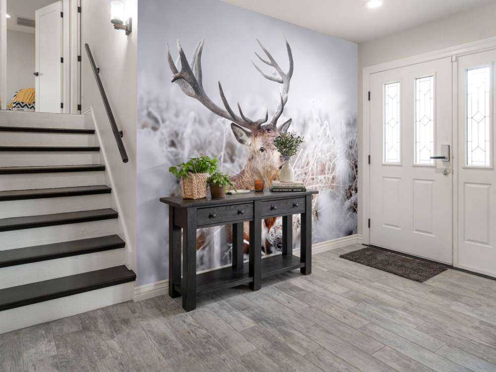 Red Deer's Winter Dream