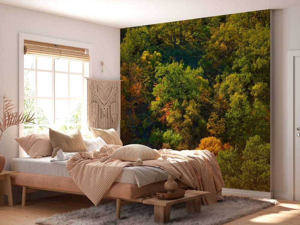 Bomen met herfstkleuren