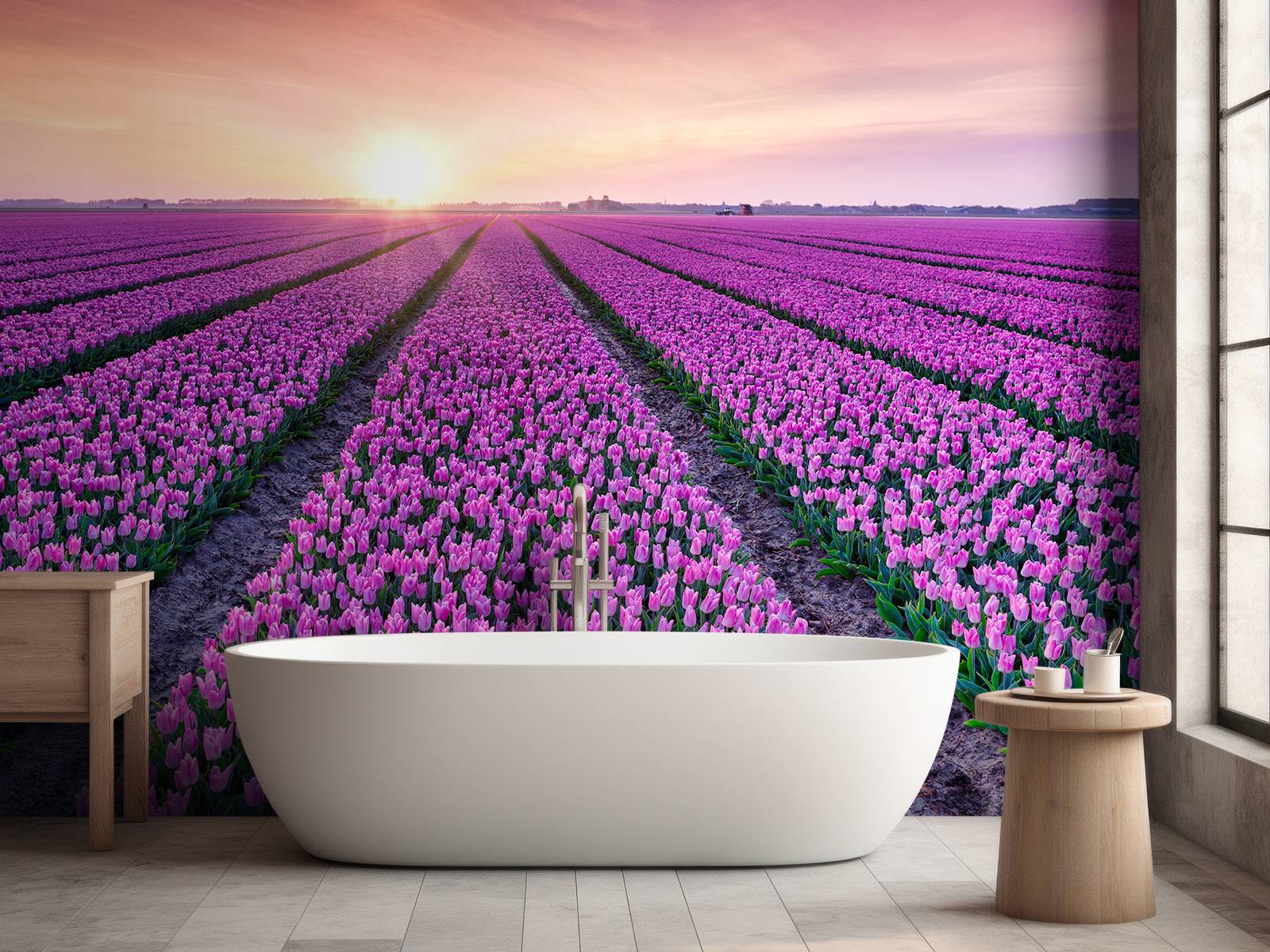 Tulip field at sunrise