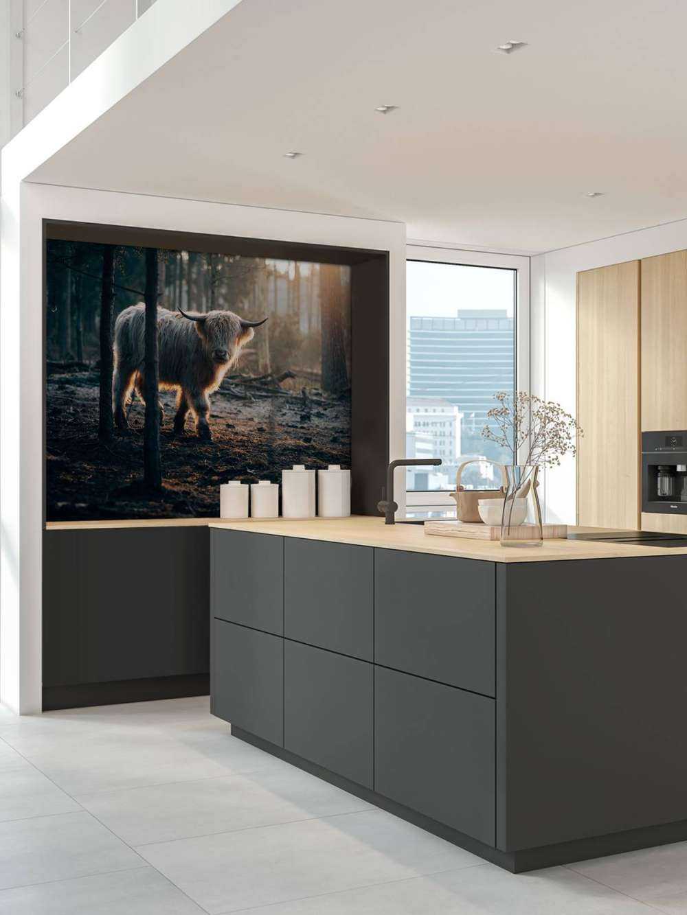 White Scottish Highlander