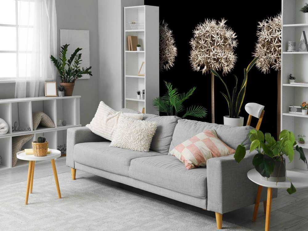 Three allium flowers in a row