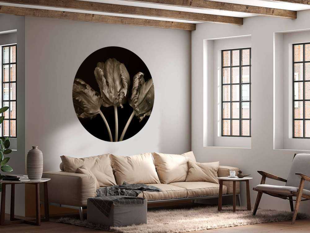Three Rococo tulips