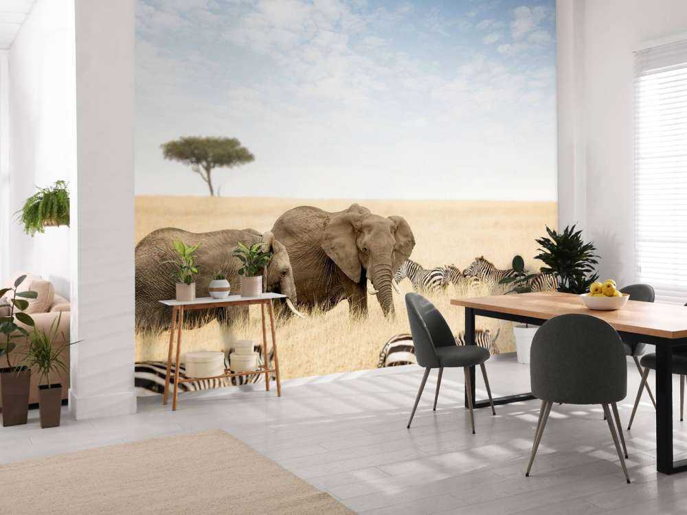 Olifanten en zebra's