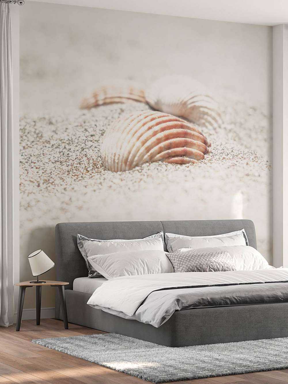 Beach Shells