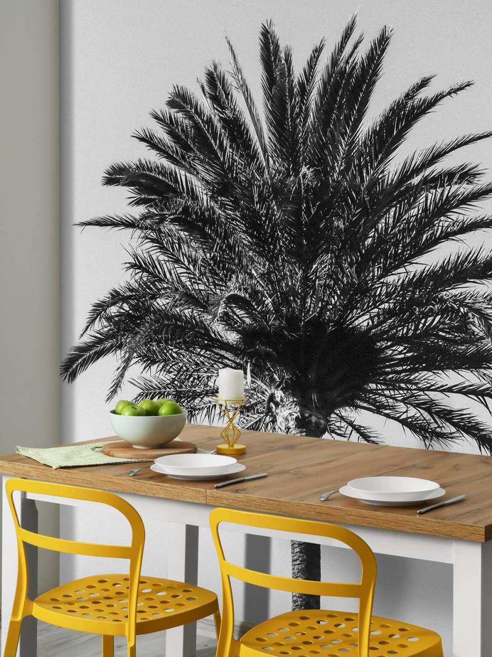 Black and White palm