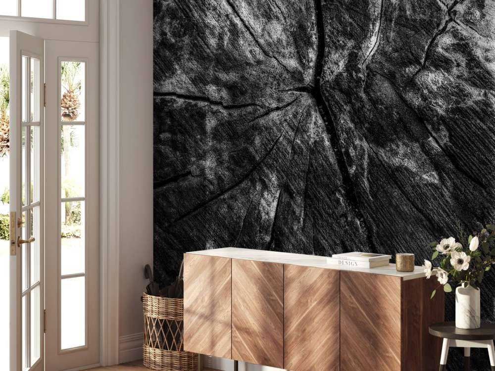 Zwart-witte boomstronk