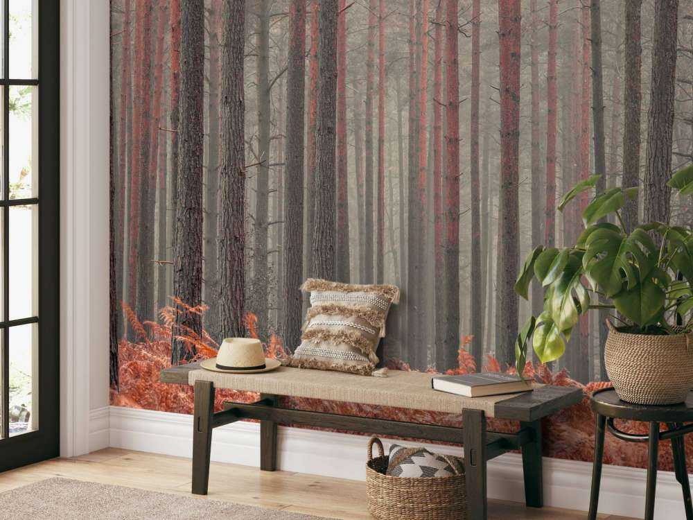 Trees in autumn