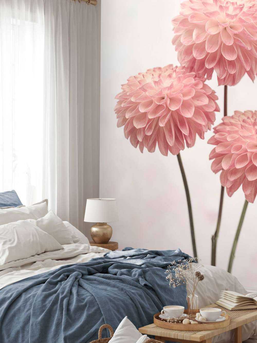 Pink dahlias