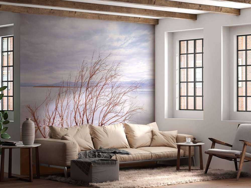 Branches in the Dead Sea