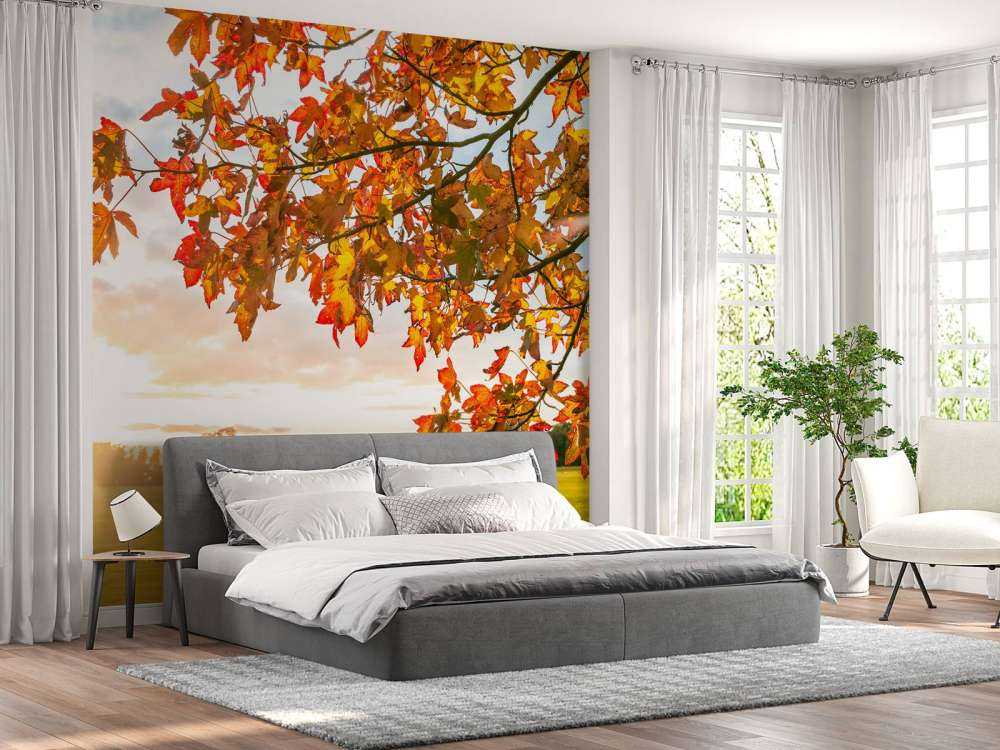 Autumn tree at sunset