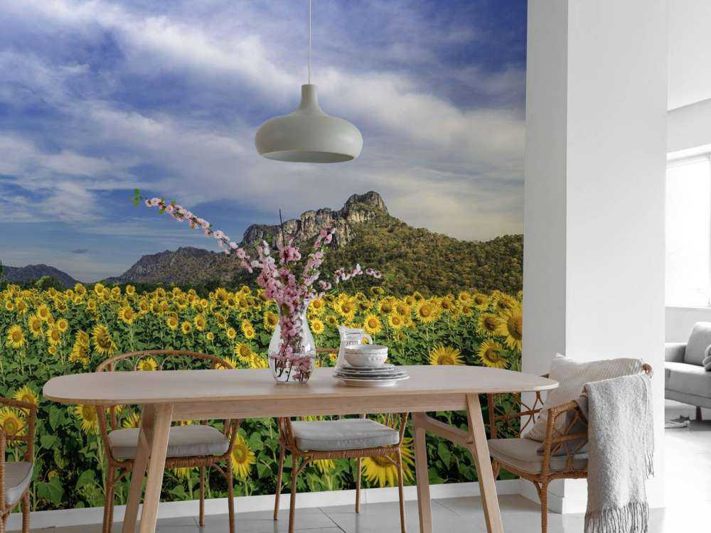 Yellow blooming field