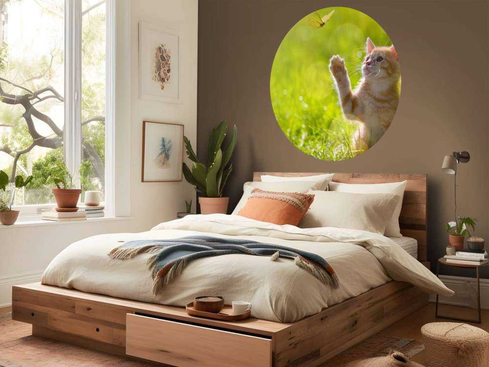 Jonge kat probeert een vlinder te vangen