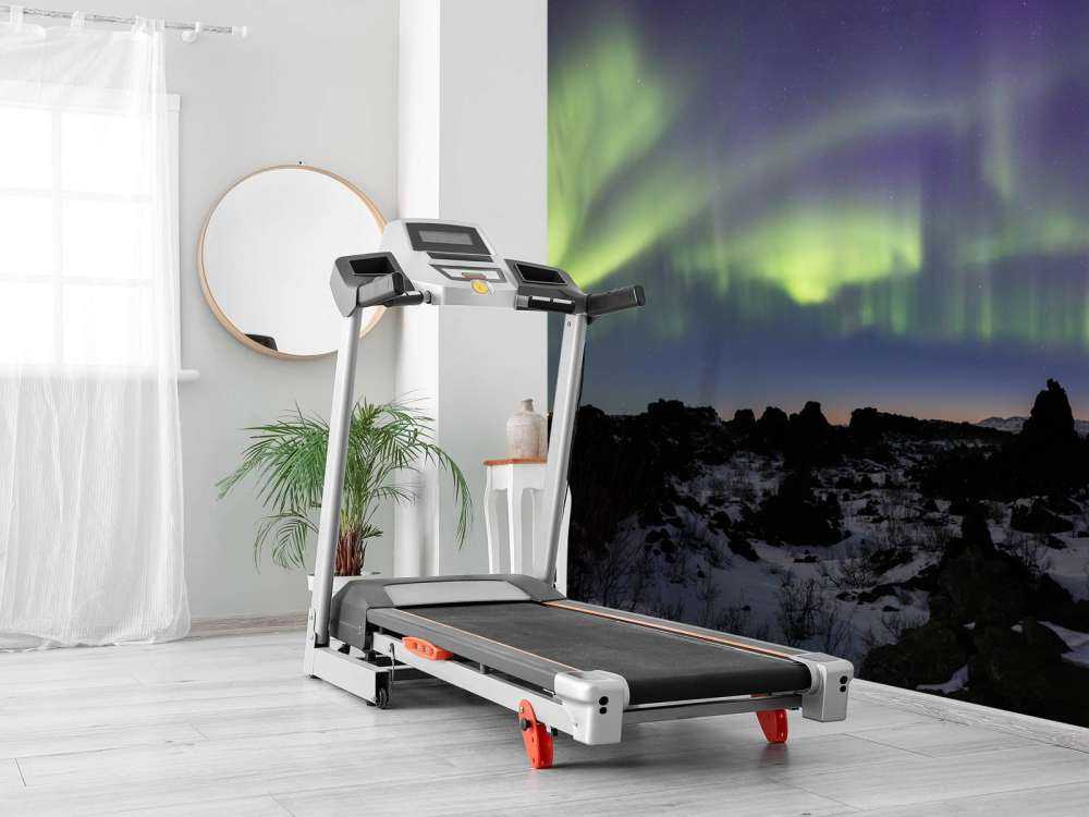 The beautiful northern lights