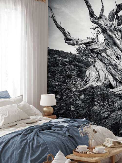Methuselah tree