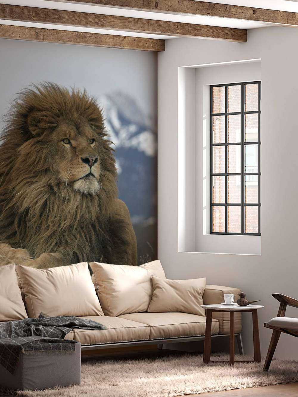 Barbary lion