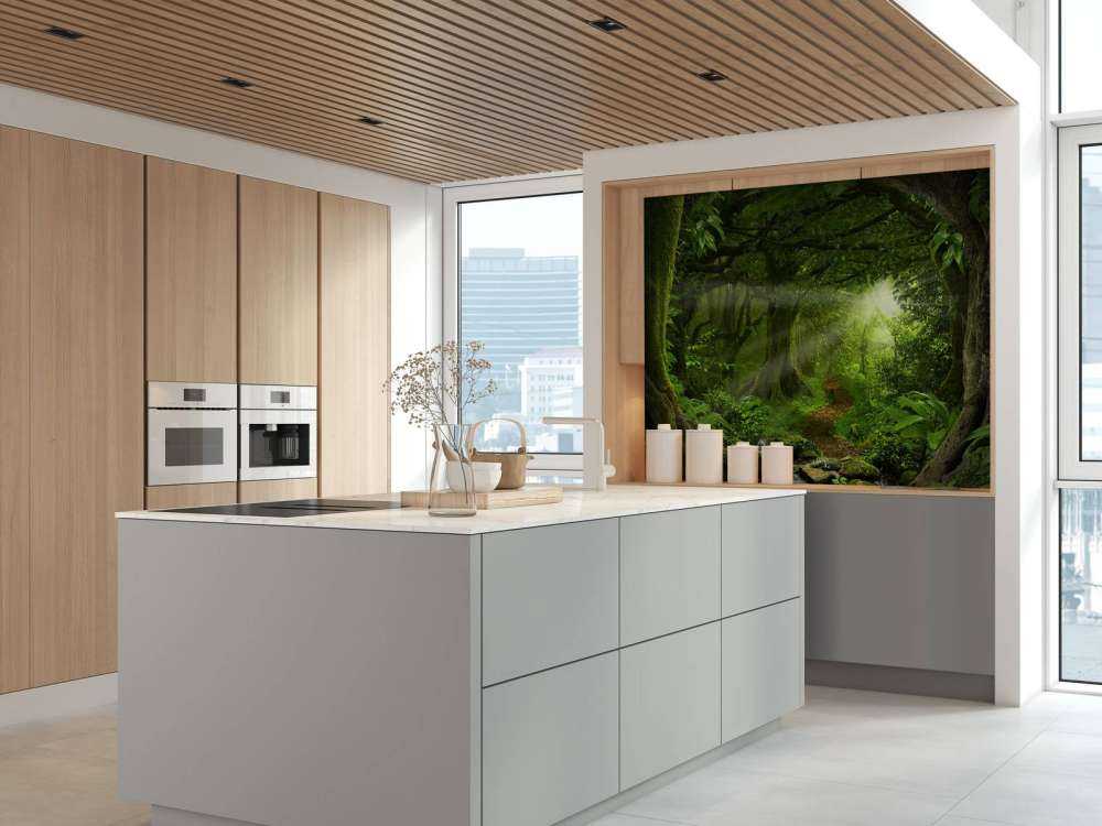 Tropical jungle with sunlight