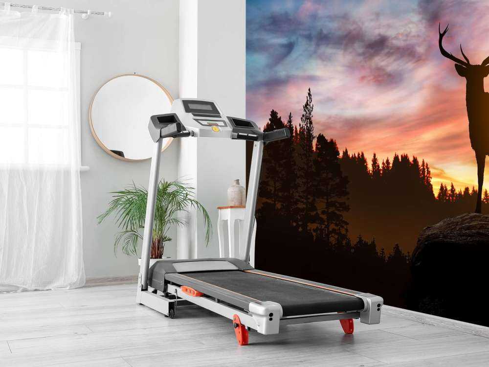 Hert met zonsondergang